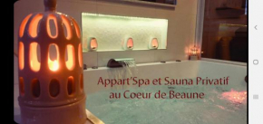 Appart' Spa et Sauna Privatif Au Cœur De Beaune